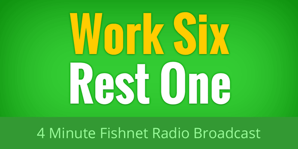 Work Six, Rest One